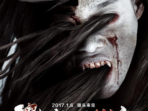 长安大学兴华学院毕业证样本